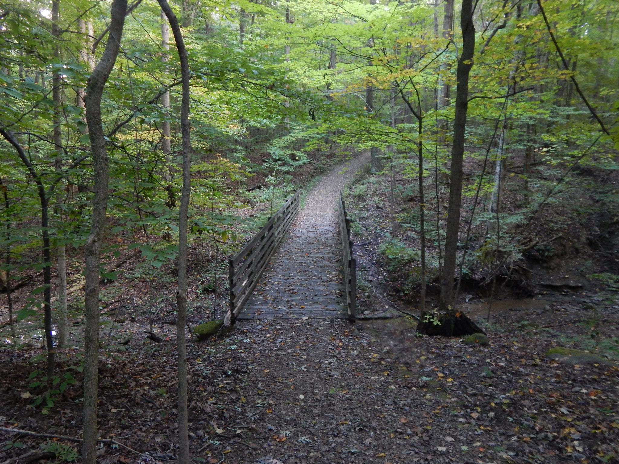 Classic Orienteering Trail O 5K 6 5K At Oak Hill Sunday July 2 